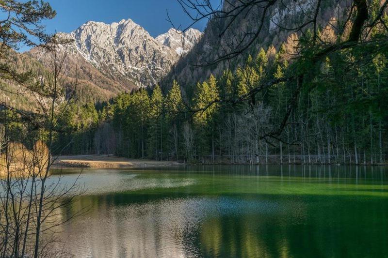 Camping & Glamping Grintovec Preddvor Exteriér fotografie