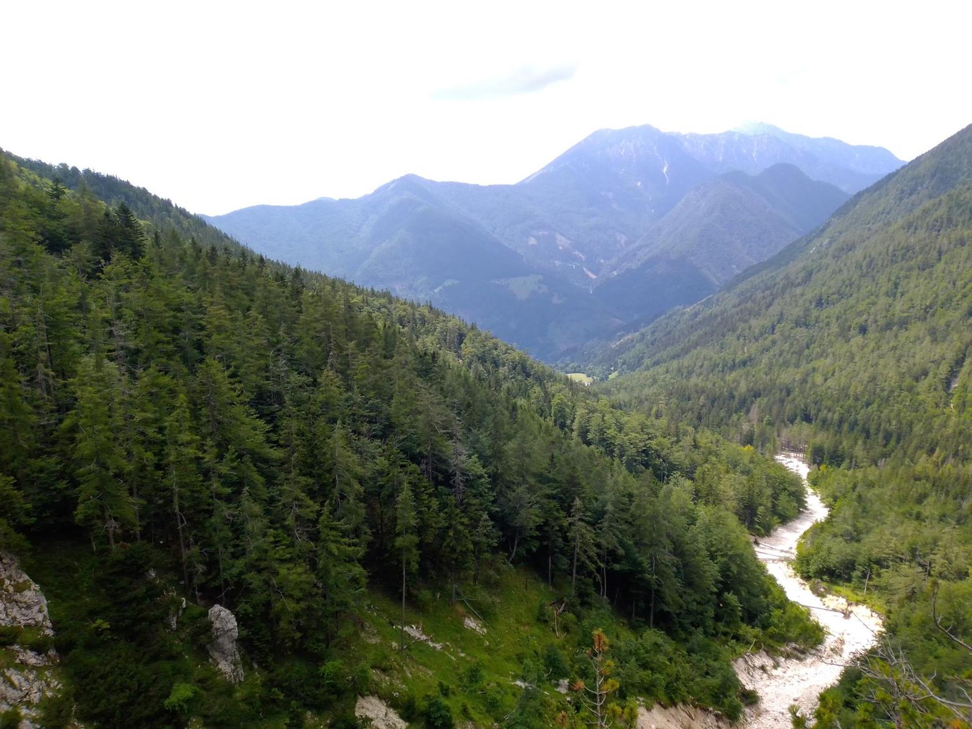 Camping & Glamping Grintovec Preddvor Exteriér fotografie