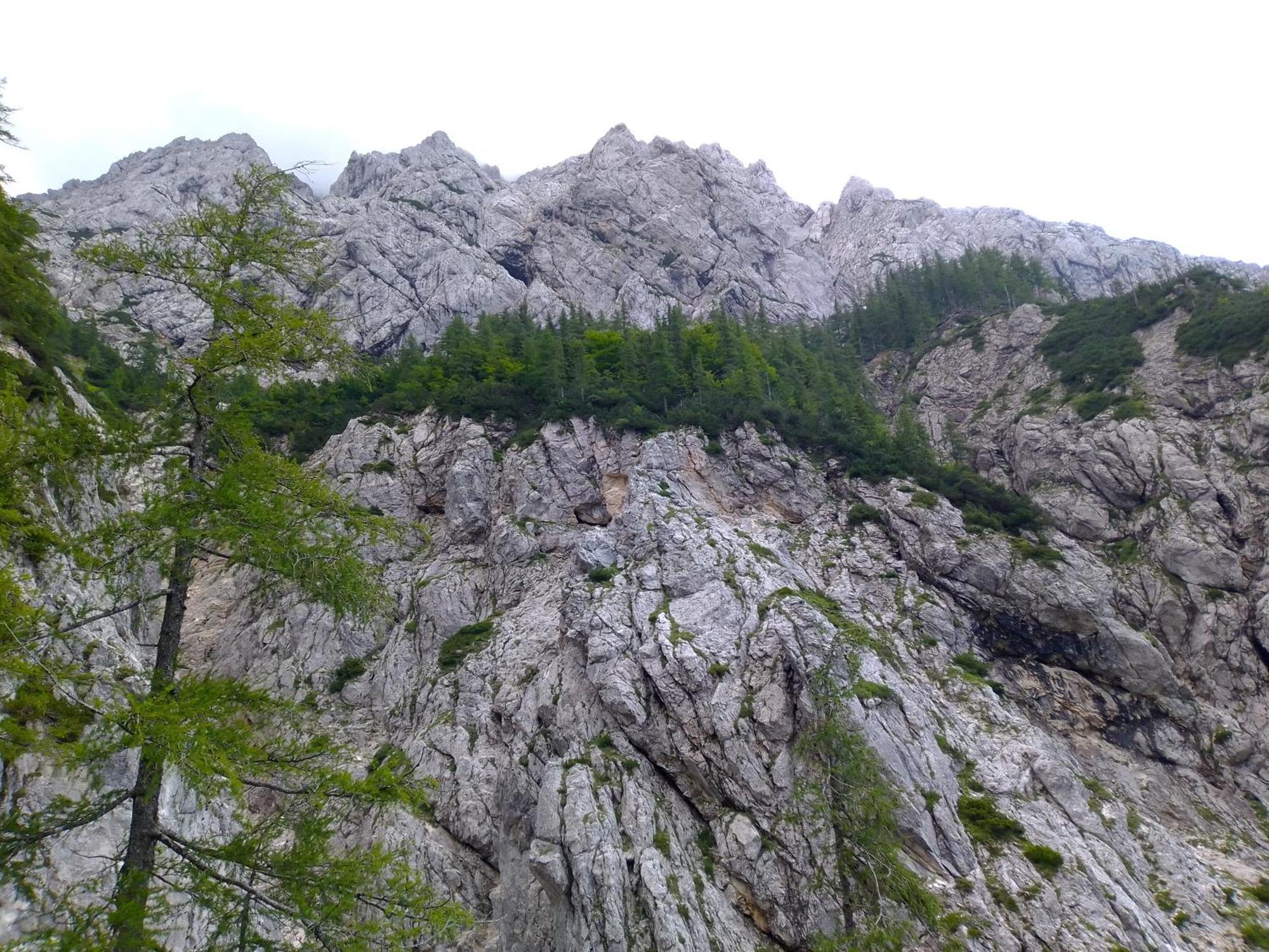 Camping & Glamping Grintovec Preddvor Exteriér fotografie