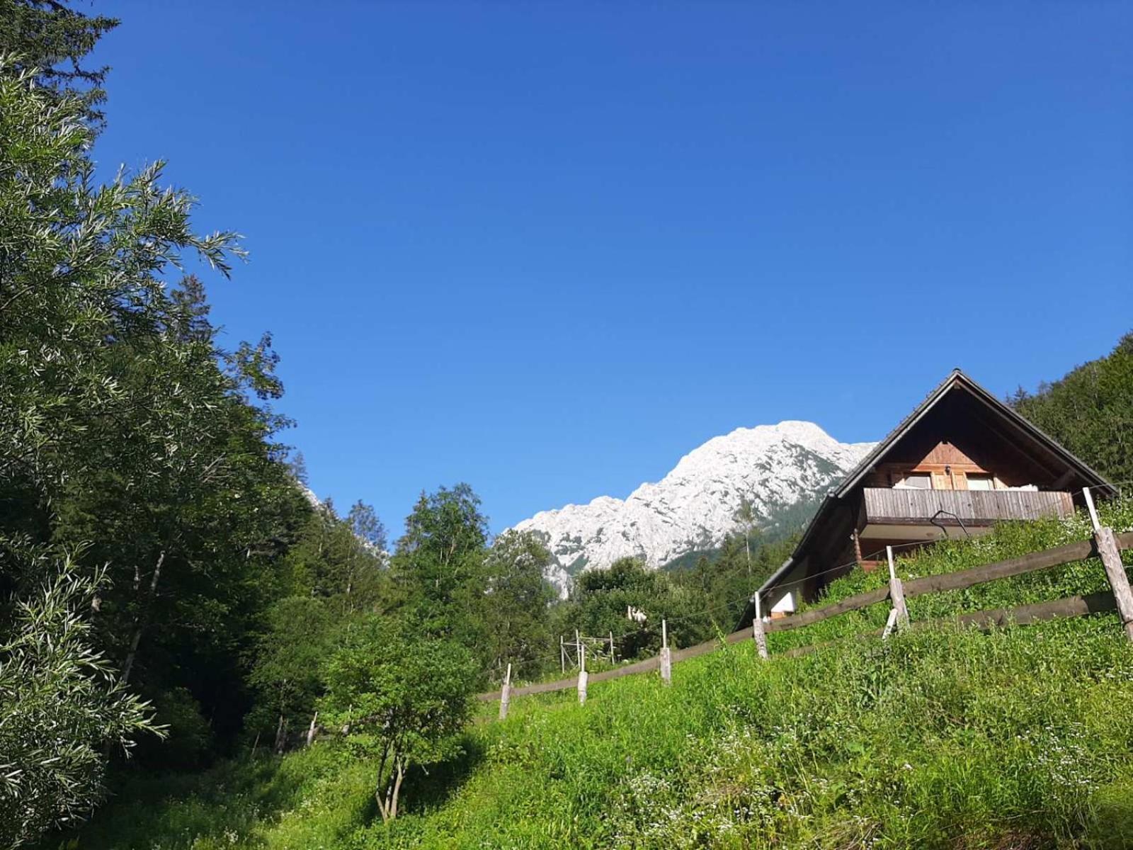 Camping & Glamping Grintovec Preddvor Exteriér fotografie