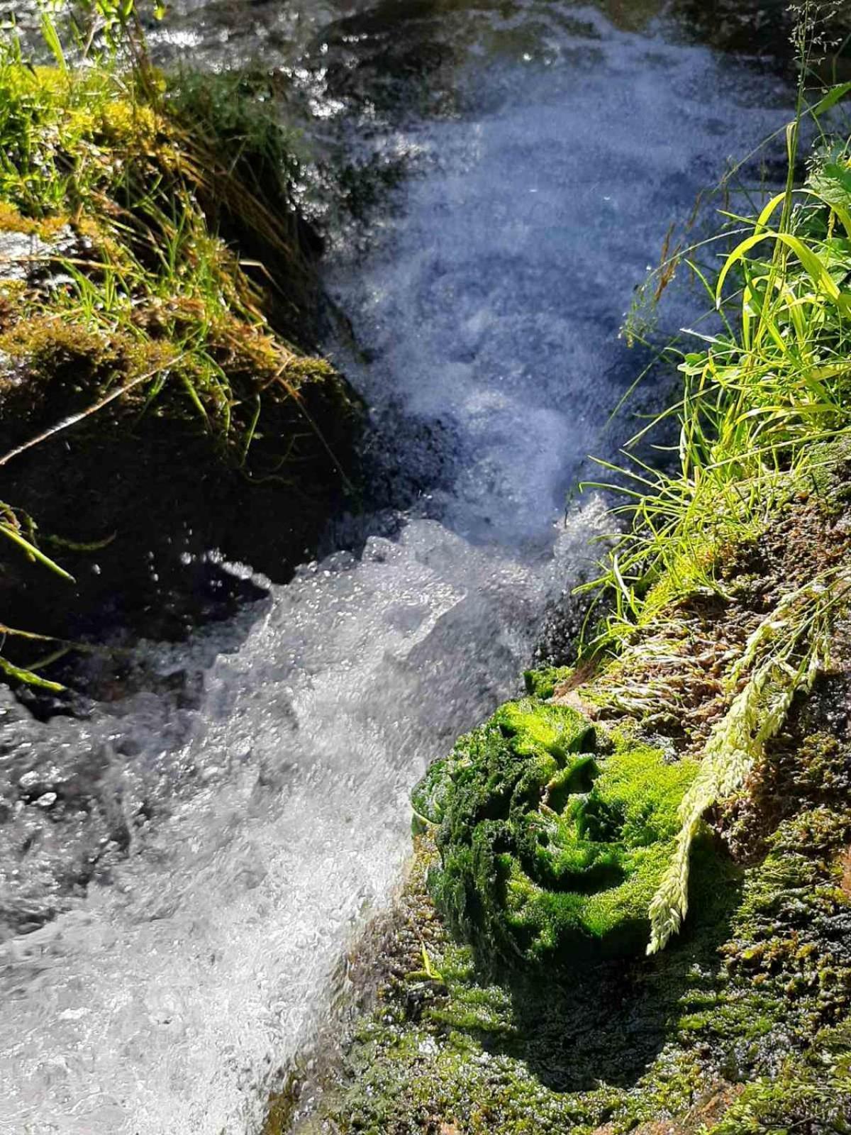 Camping & Glamping Grintovec Preddvor Exteriér fotografie